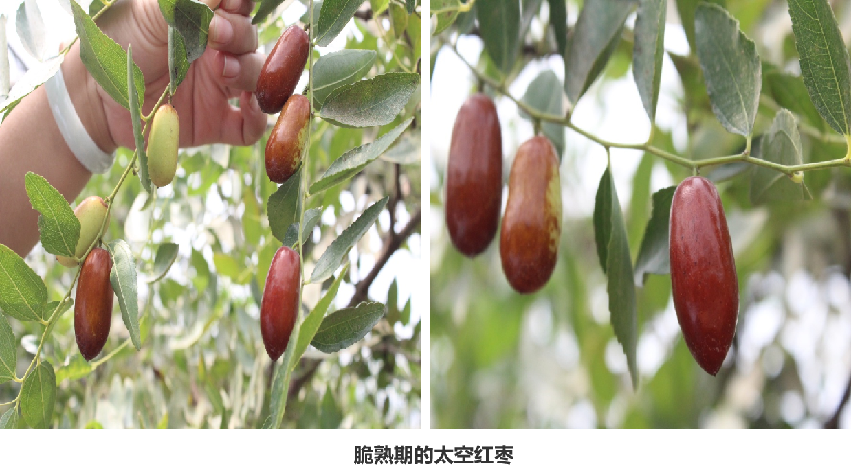 1650356239310871.png 圖片2.png