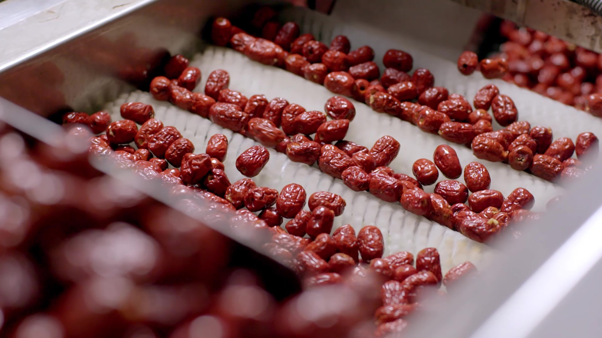 1749281446727265.jpg 去核紅棗篩選.jpg